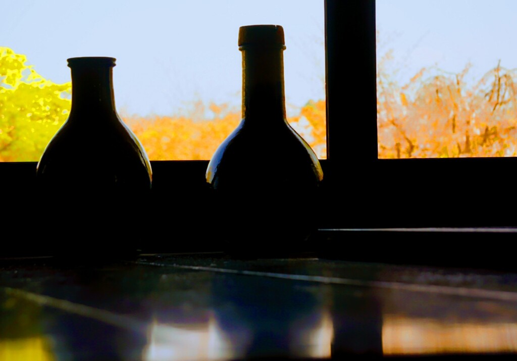 DSC03521
