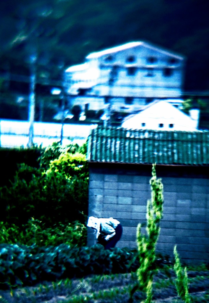 DSC_0091~3