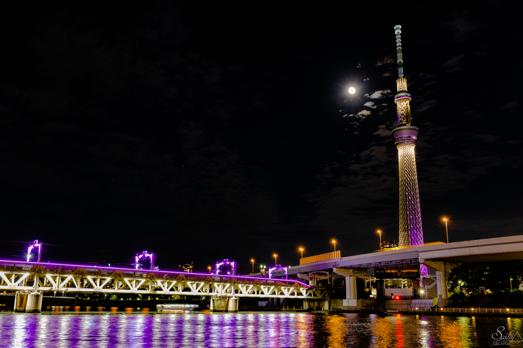 スカイツリーと夜景