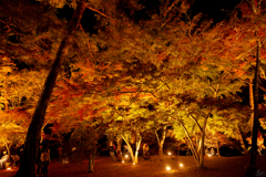 紅葉_月の石公園