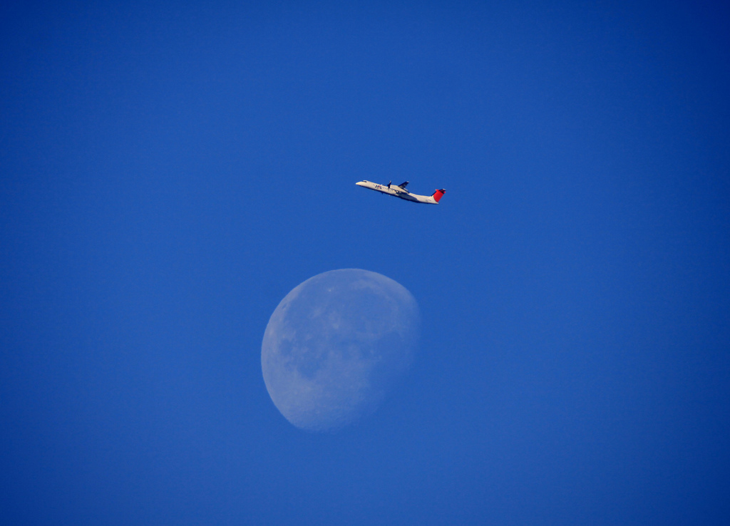 Blue Moon