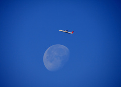 Blue Moon