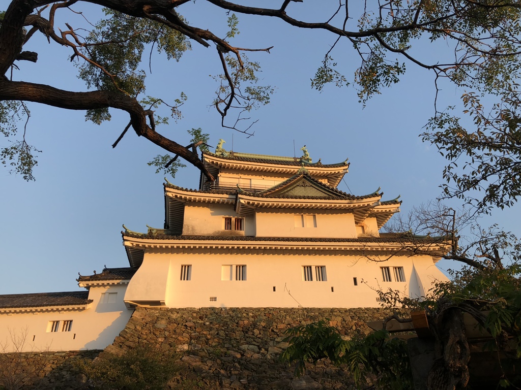 今朝の和歌山城