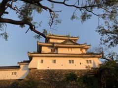 今朝の和歌山城