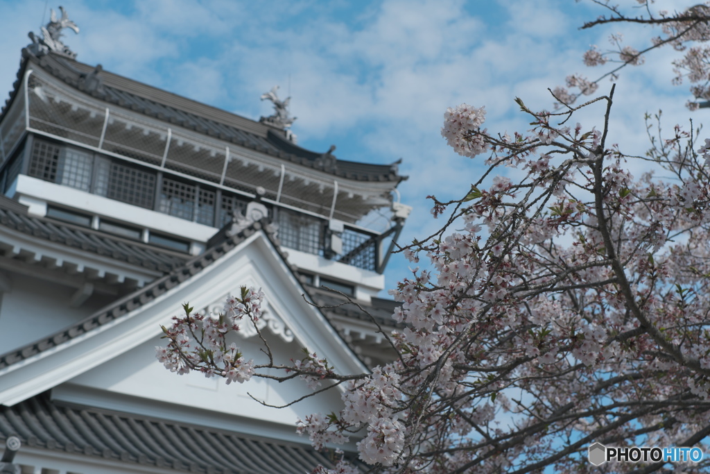 撫養城