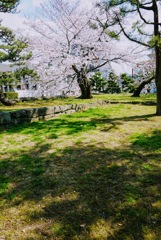 凛と立つ