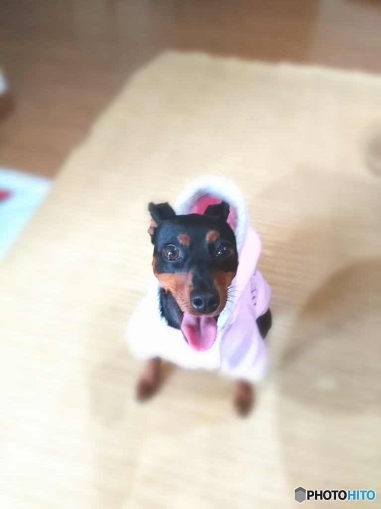 笑顔が