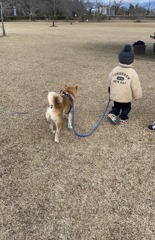お疲れ様！