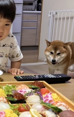 狙ってますね...