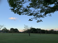 公園独り占め　☆ちっちゃくてわからん