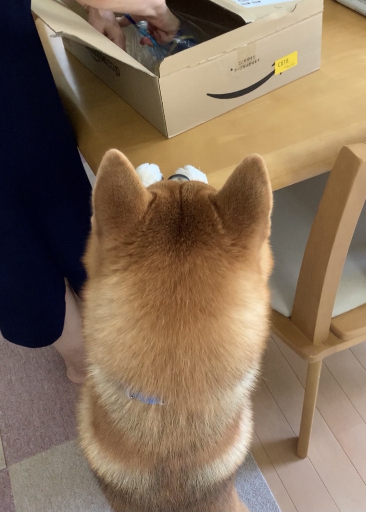 なんだそれは！