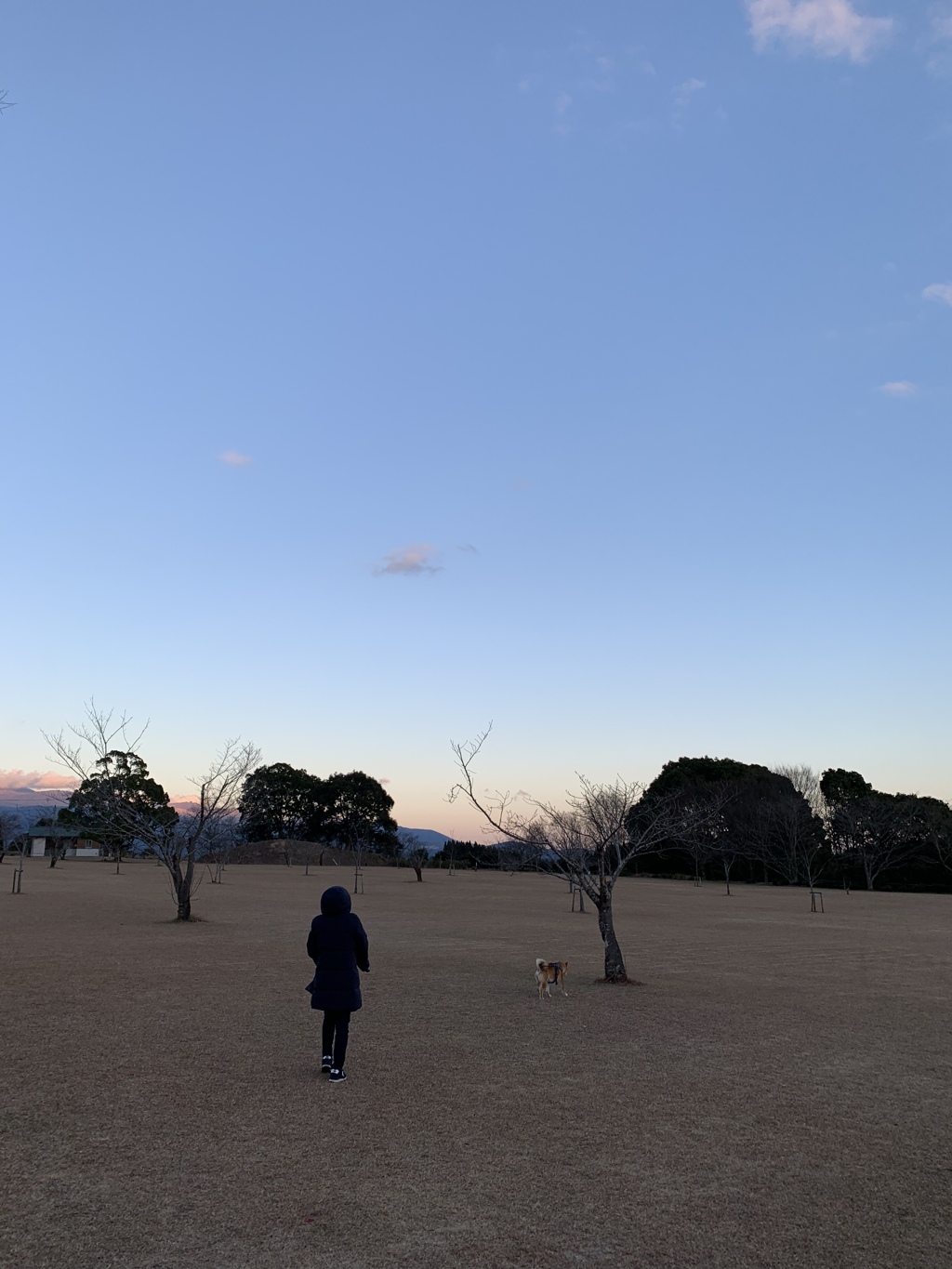 お願い！寒いからもう帰ろう