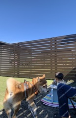 今のうちに離れとこう