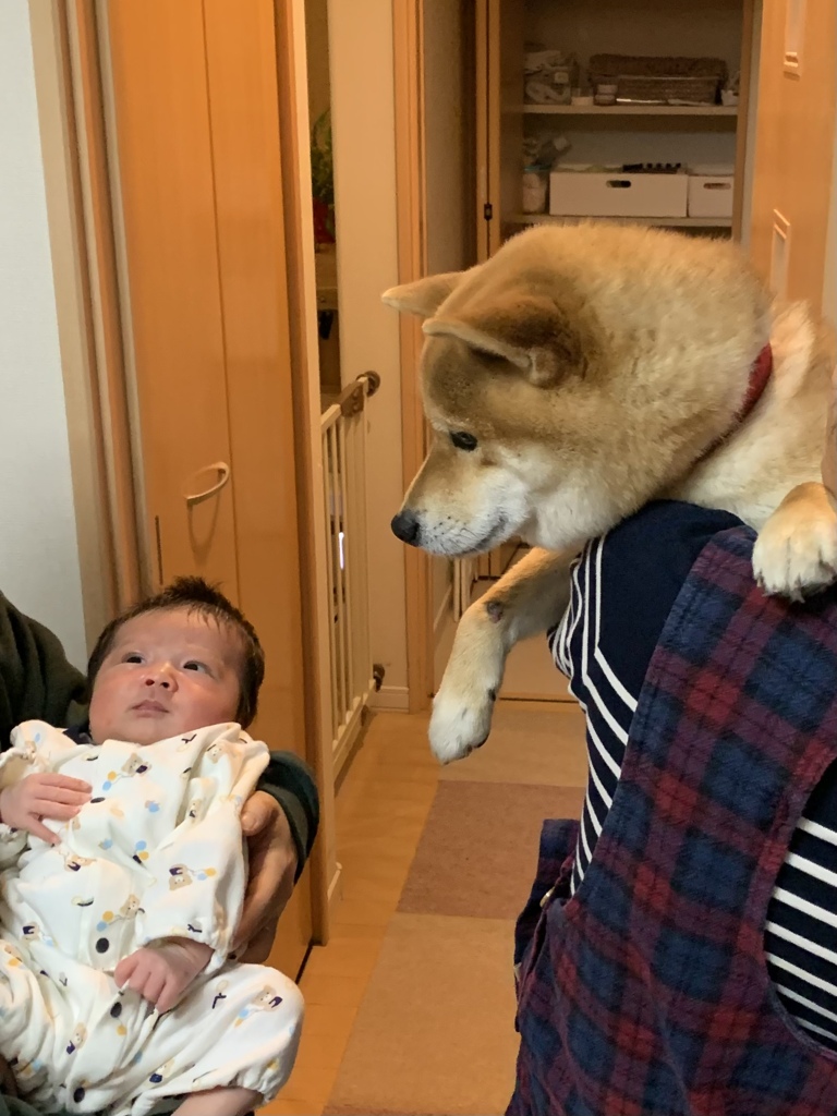 泣き止んだねー。よかった！