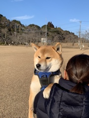 観念した後の顔がなんだかシブい