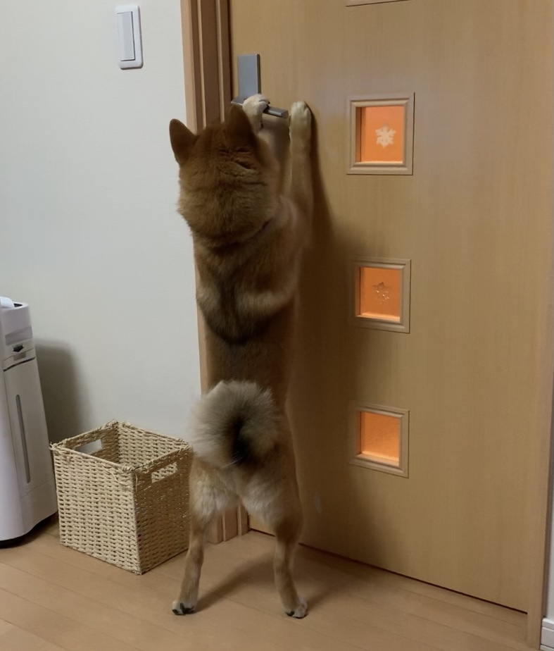 さてと、お出迎えに行かなきゃ