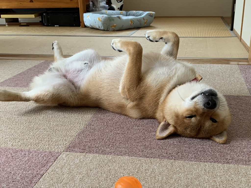 こうなる季節が近づいてきました。