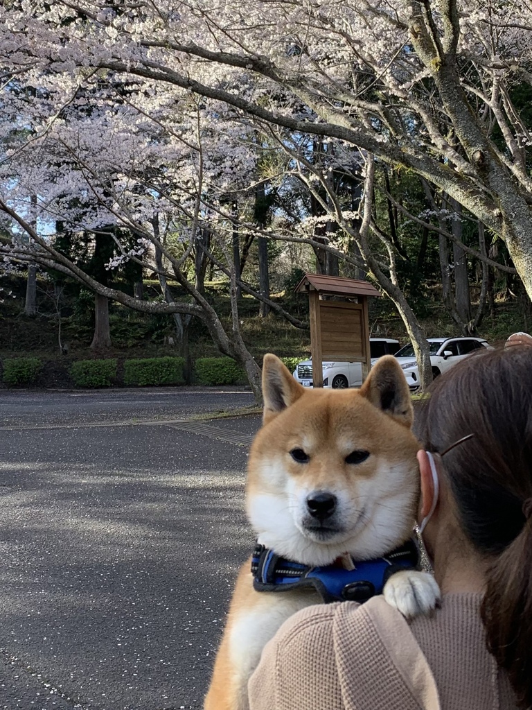 相変わらず帰りは魂が抜けてます