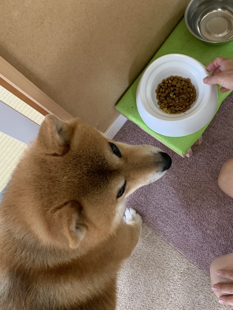 ちゃんと居るから！
