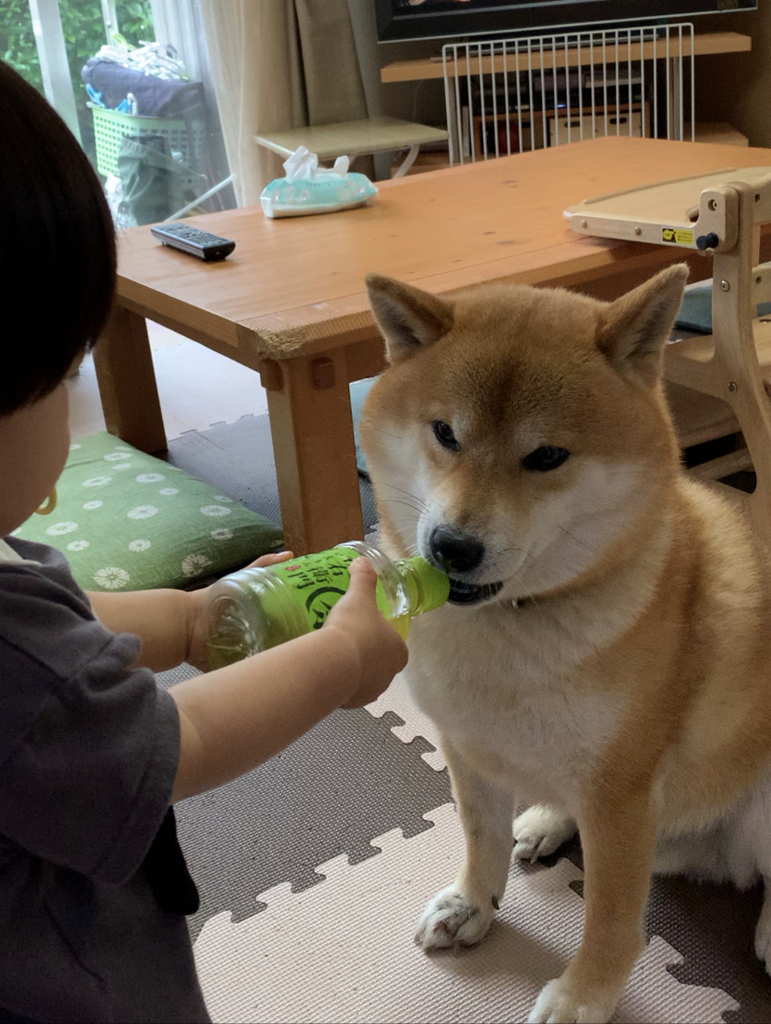 あー美味しい