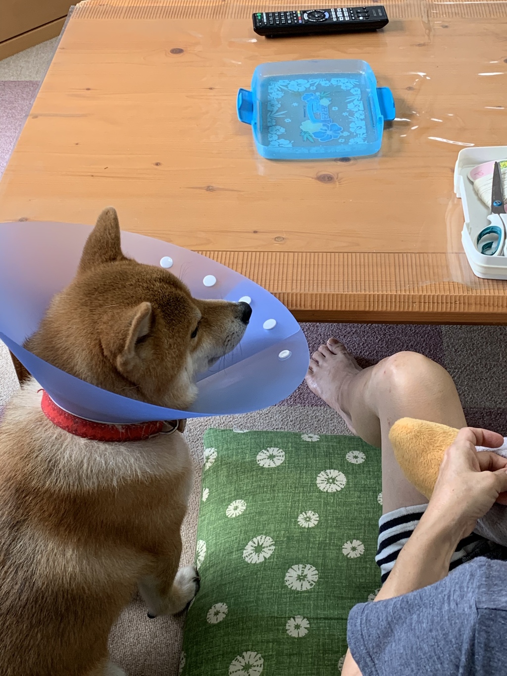 気まずそうにオペを見守る
