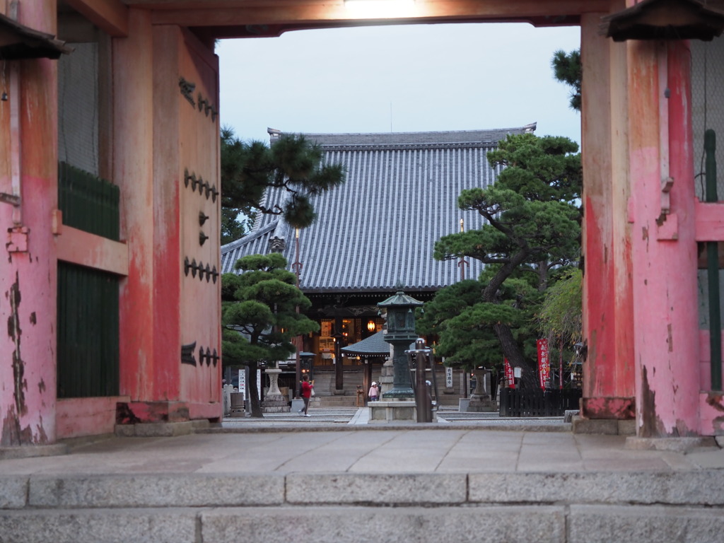 第五番 紫雲山 葛井寺