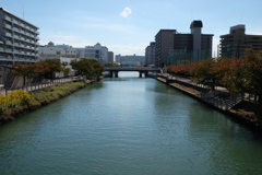 お散歩　城北川