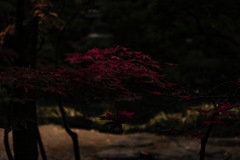 23919F8C-6FCB-4161-8D69-631BB1D3FE3D