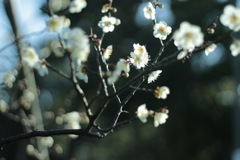 4E08F954-AB0A-434A-9B4C-E67897C2413F