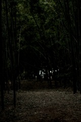 8058191F-B7C2-49A2-87F3-3BDD7C7ACE5B