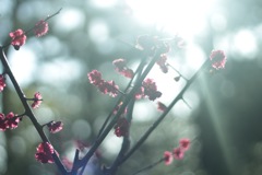 11C80972-DC78-4A71-96BF-30EDFF5FB8D5