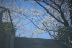 D762E1A9-79F2-4F65-B782-5C5967BC2A43