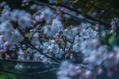 1F7B2DF8-0FAF-413F-95B6-77B97FAA8965