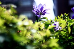 A1396768-53B8-4E21-B8F3-40033186B29D
