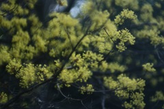 6D981C1E-CEC7-41CA-BA1A-027363AA0394
