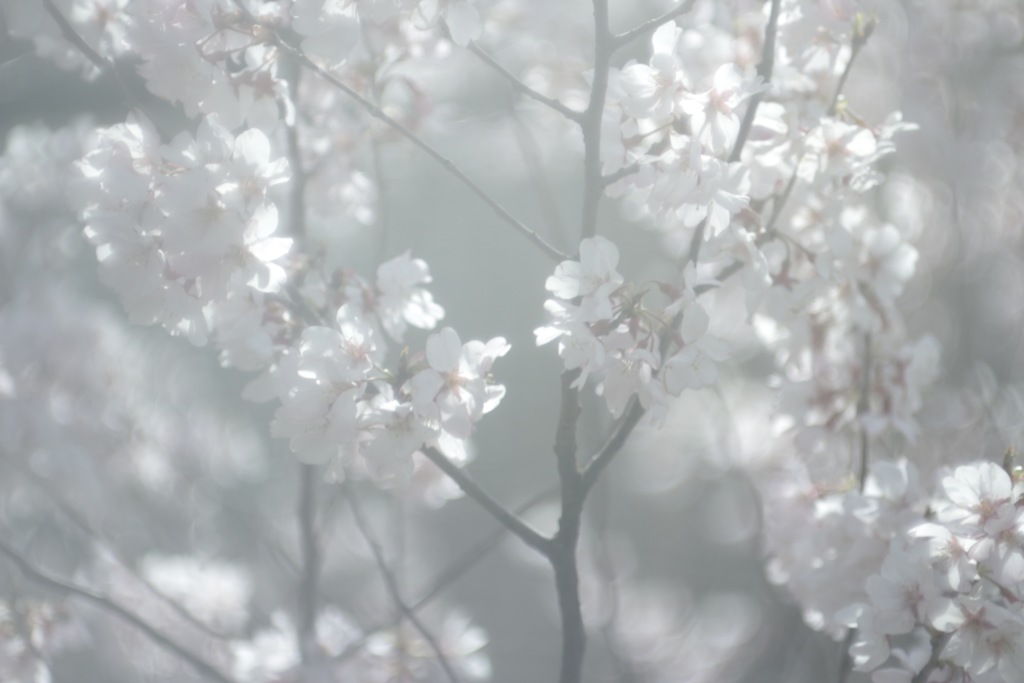 BA76270D-2C75-4820-A6B4-CEAD6607C7E6