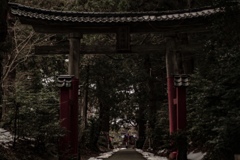 17983347-A66B-4676-B5D5-2E86CF20A34B