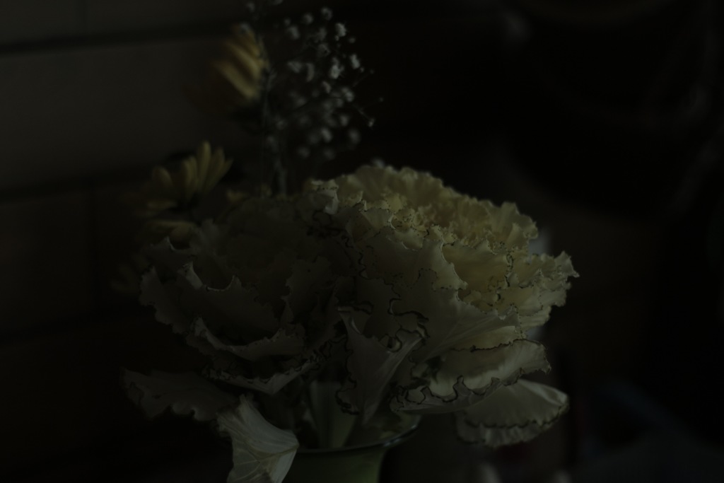 210A4284-817B-4B37-A9A2-D6524B33A72F