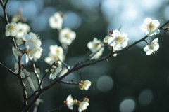 F7E41479-855B-4474-B4BC-CB7AB282F711