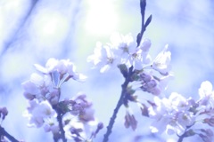 41A8AC57-58C4-4F0A-8833-388370B38C70