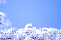 324C58C6-2D08-47BA-B1C2-72C8FE26E682