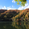 紅一点！