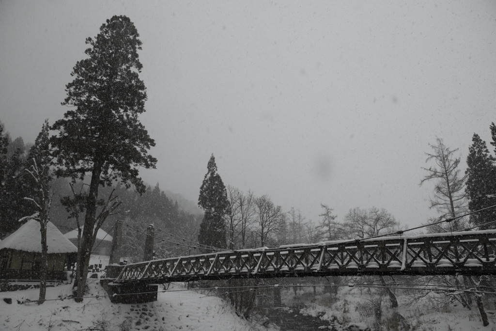 雪の中静かに