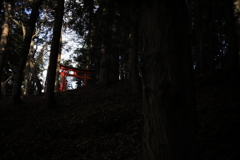 山林の中鮮やかに