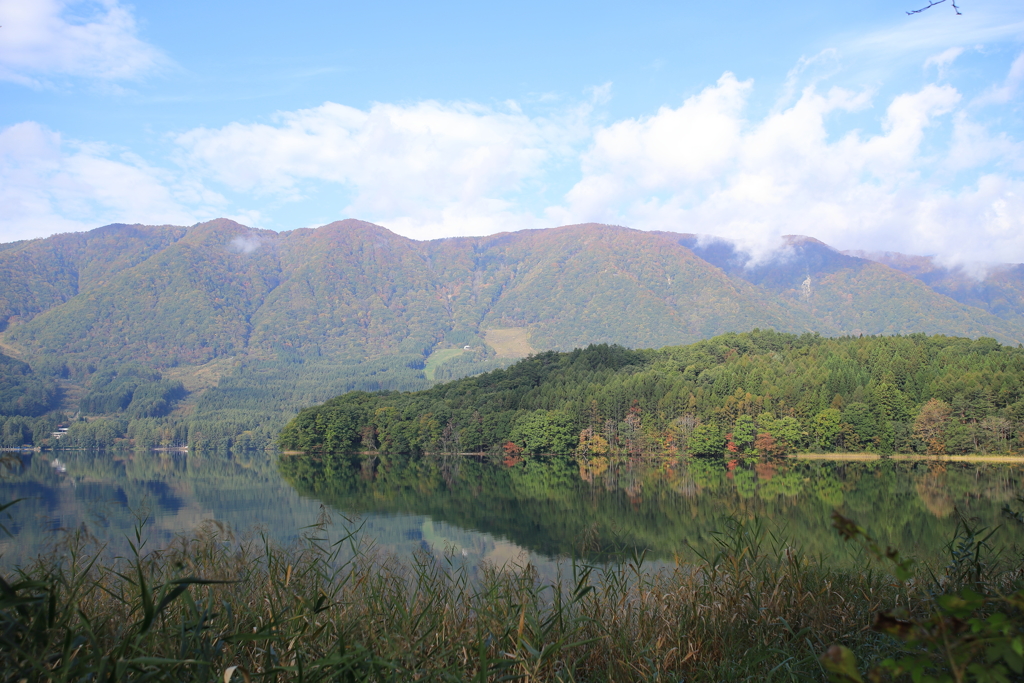 秋が山から降りてきた