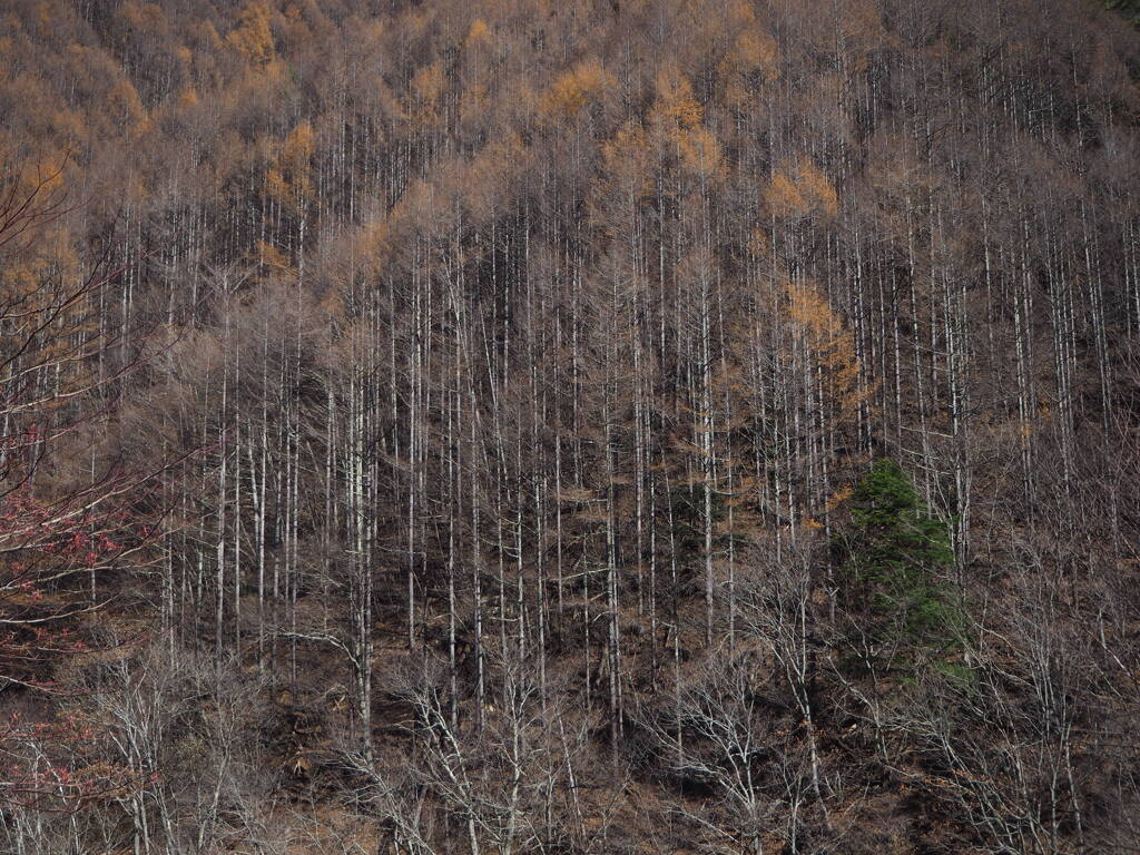 武石村