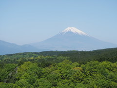 三島スカイウォーク