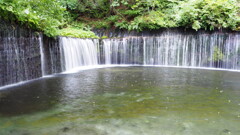 軽井沢 白糸の滝