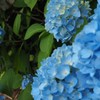 雨音の調べ　♪1