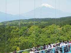 三島スカイウォーク